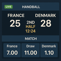 Vinder Casino - Handball Betting - Danish and International Leagues